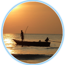 Wabamun Marina - Fishing Boat Rentals